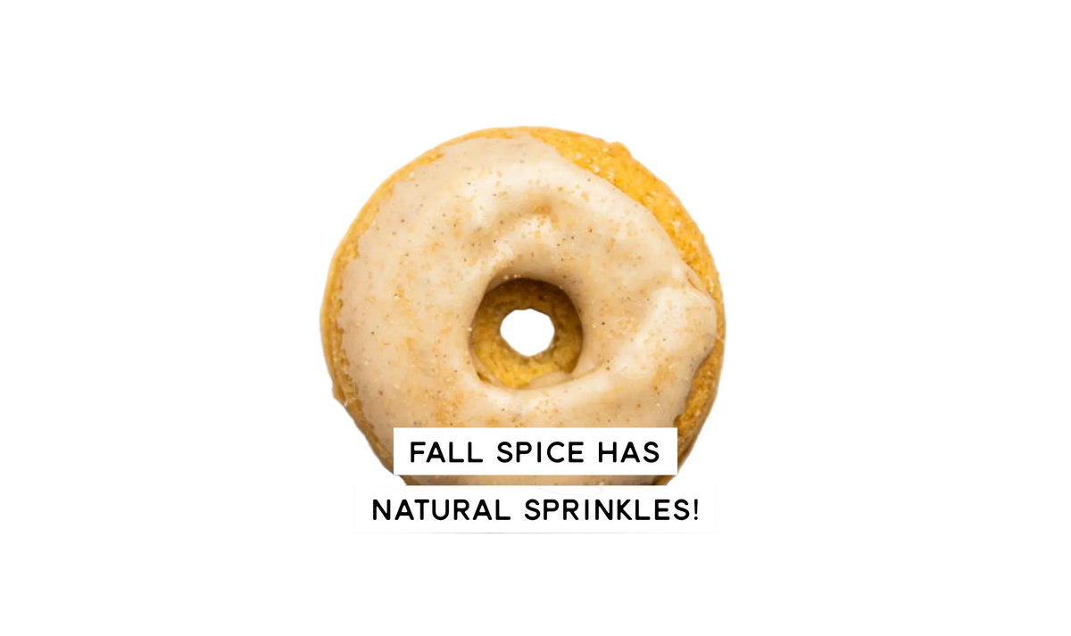 FALL SPICE DONUTS